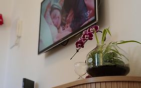 Apartment-Alys